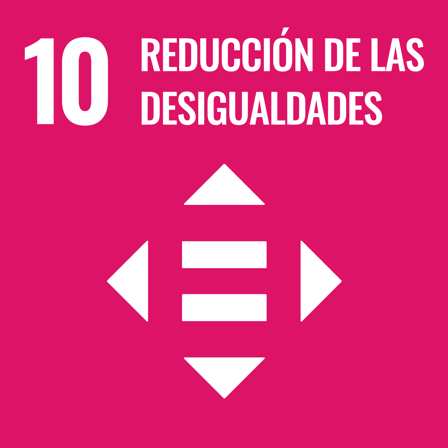 10.- Reducir las desigualdades entre países y dentro de ellos 10.- Reducir las desigualdades entre países y dentro de ellos